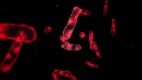 virus cell in linear shape. pathogenic viruses causing infection. loop animation of human virus. bacterial microorganism. viral disease outbreak.