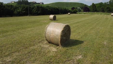 balas de heno en el campo agrícola vista aérea