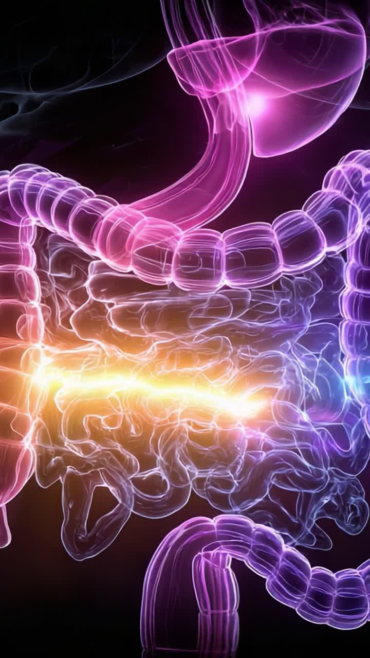 Una visualizzazione affascinante del sistema digestivo umano che evidenzia le complessità dell'intestino e dello stomaco in un vibrante spettacolo di luce e movimento.