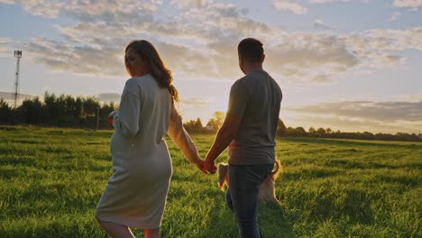 pregnant couple walking in a field at sunset with a dog
