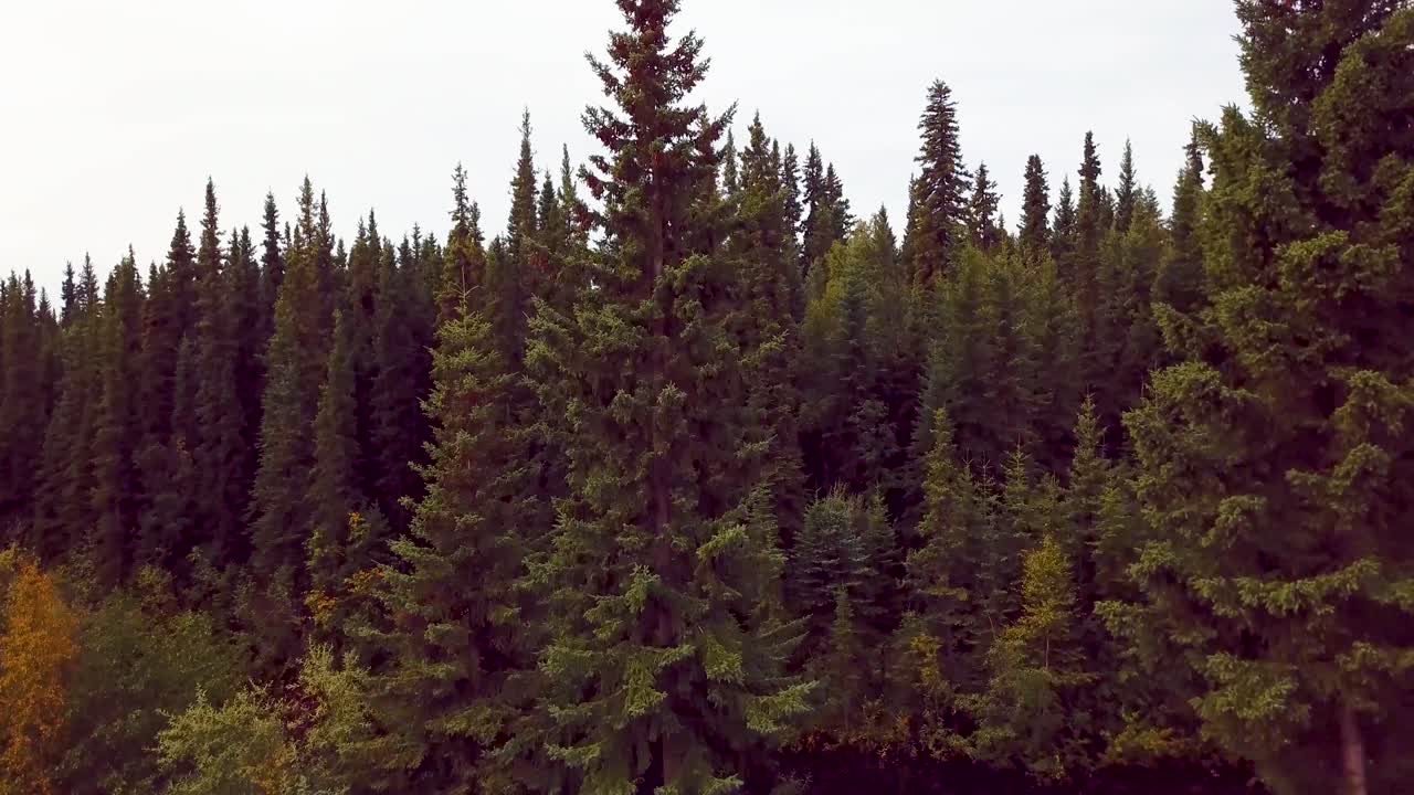 여름날 알락사 북극에 있는 산타클로스 동상의 4k 드론 비디오