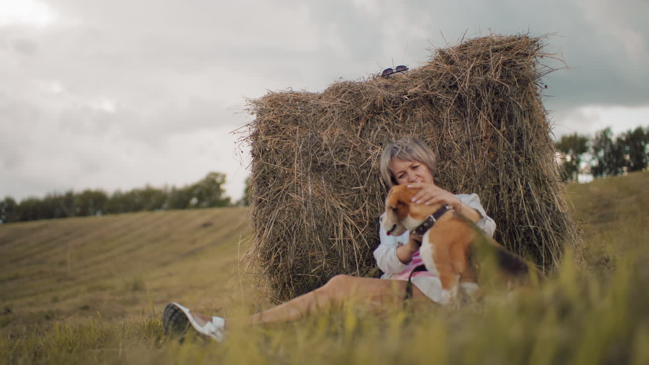 선글라스를 착용 한 중년 여성은  에 앉아, 혀가 어나오면서 개 머리를 부드럽게 문지르고, 언덕, 황금 잔디, 구름이 가득한 하늘