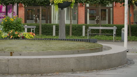 calm city fountain with flowers