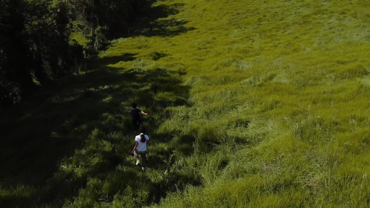 두 명의 작은 형제 자매가 높은 풀에서 자연에서 고 있습니다.