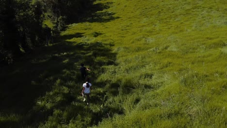 two little siblings are walking in nature in tall grass