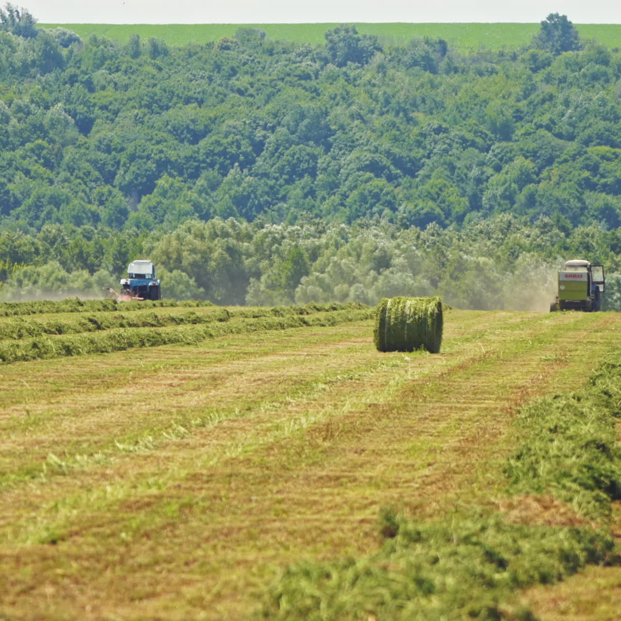 Round bales on the field and agricultural machinery working outdoors. Seasonal works for harvesting green grass for livestock in nature.