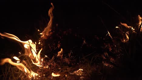 incendio forestal en la noche