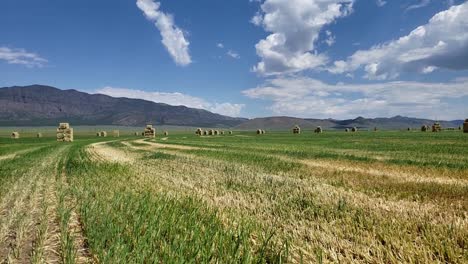 Toma-De-Inclinación-Lenta-Que-Revela-Un-Campo-De-Heno