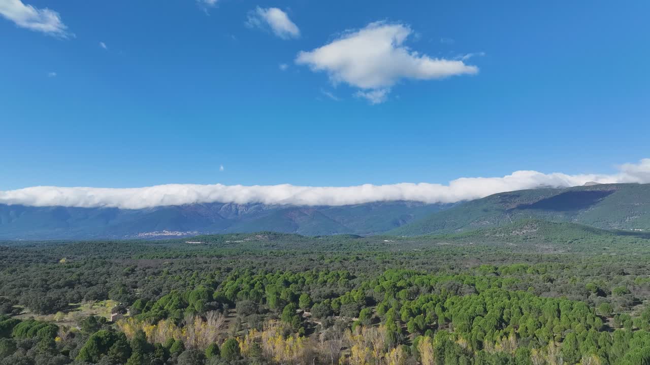 High-quality drone footage of a mixed forest landscape with a stunning mountain backdrop. Clouds crown the peaks in a horizontal drift, under a brilliant blue sky with scattered clouds.