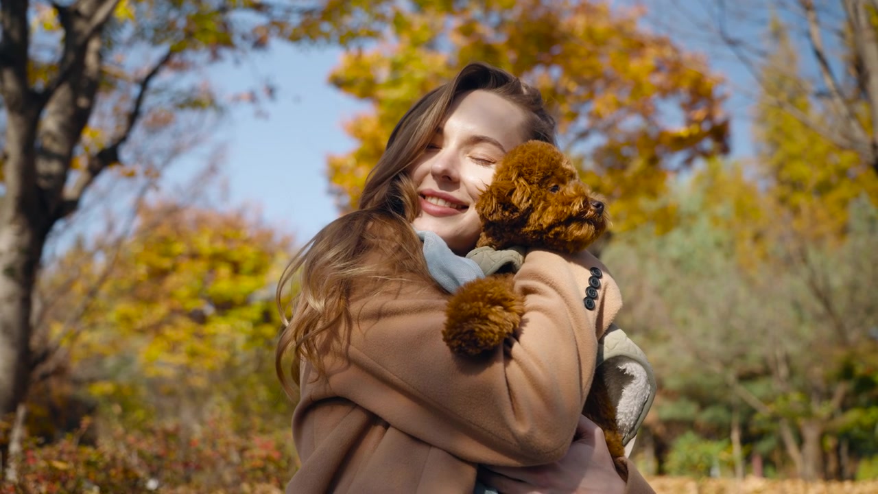 Giovane donna che coccola un cagnolino in un parco cittadino autunnale - primo piano al rallentatore. Ragazza che abbraccia un barboncino toy e sorride. Donna bionda che accarezza il cucciolo con amore e affetto
