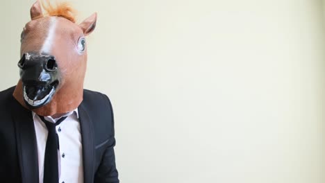 funny horse head man pointing finger away on studio background funny horse head man pointing finger away on studio background a man in a masquerade mask of a horse video