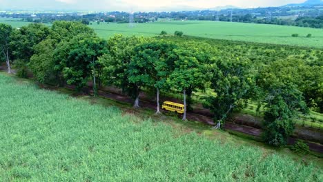 Drone-shot-of-a-school-bus