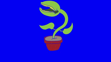 venus flytrap pantalla azul dibujada a mano. animación de bucle flotante