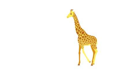 giraffe cycle
