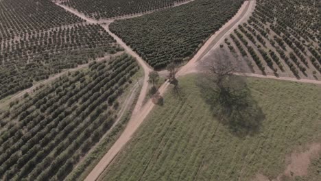 gran finca multicultural del estado brasileño de minas gerais