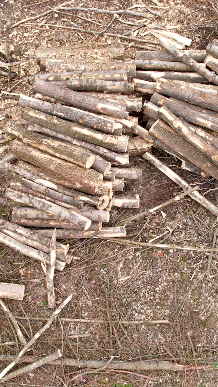 A highangle aerial shot showing piles of cut timber and scattered branches on the forest floor, ideal for environmental and industrial themes