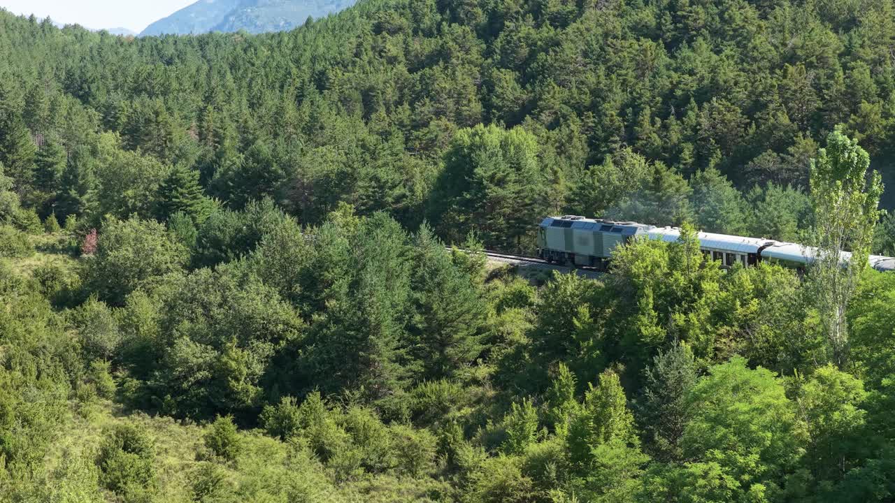 Tog, der kører gennem en skov