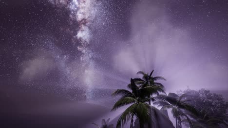 la galaxia de la vía láctea sobre la selva tropical.