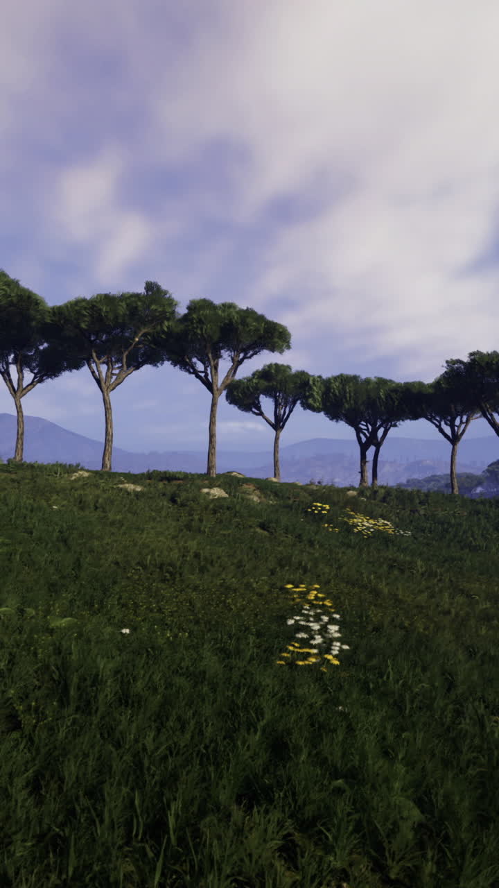 Valle serena con alberi maestosi sotto un cielo terso a mezzogiorno
