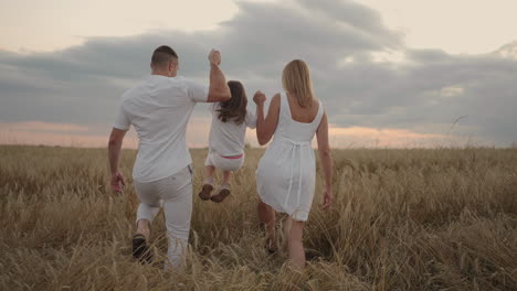 happy smiling family holding hands walking through golden field at sunset. happy family walking on meadow and playing.