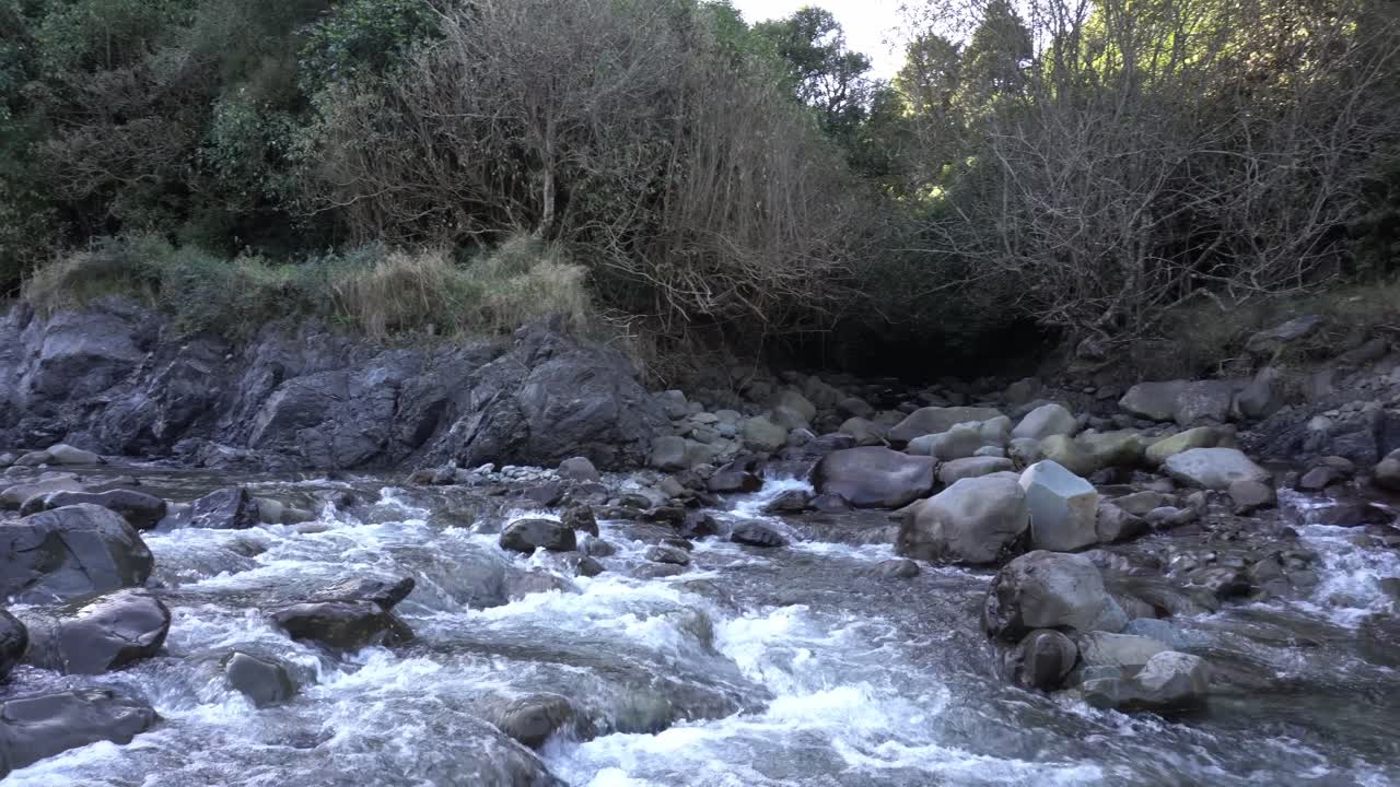 Lenta panoramica da sinistra a destra attraverso un fiume roccioso in una gola di vegetazione autoctona