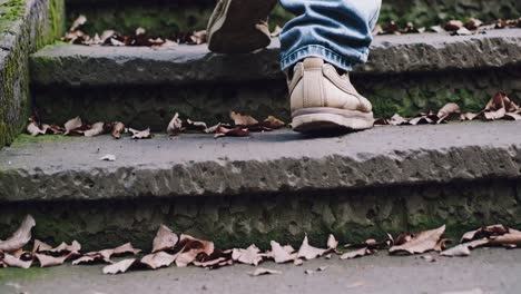 low-angle video shot of a person's feet walking up moss-covered stone steps, capturing a serene