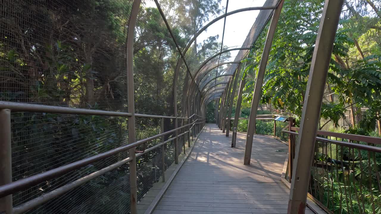 paseo en el recinto de mariposas del zoológico de melbourne