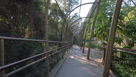 walkway in melbourne zoo's butterfly enclosure