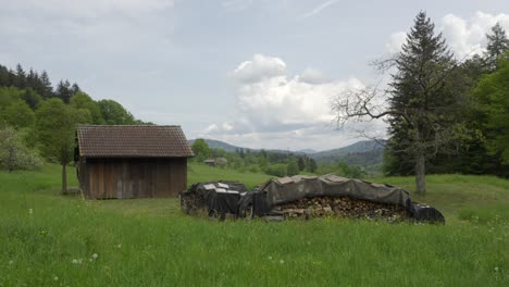 static view of old rusted cabin with piles of chopped logs under tarp