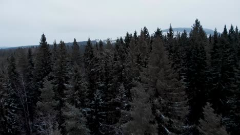 Dunkler-Unheimlicher-Nordischer-Alpiner-Waldrand-Lapplands,-In-Schweden---Niedrige-überflugaufnahme-Aus-Der-Luft