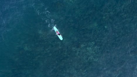 ripresa aerea - una surfista manca un'onda nelle acque turchesi al largo della costa messicana