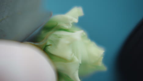 Weiße-Eustoma-Blumen-In-Frischem-Blumenstrauß-Auf-Blauem-Hintergrund