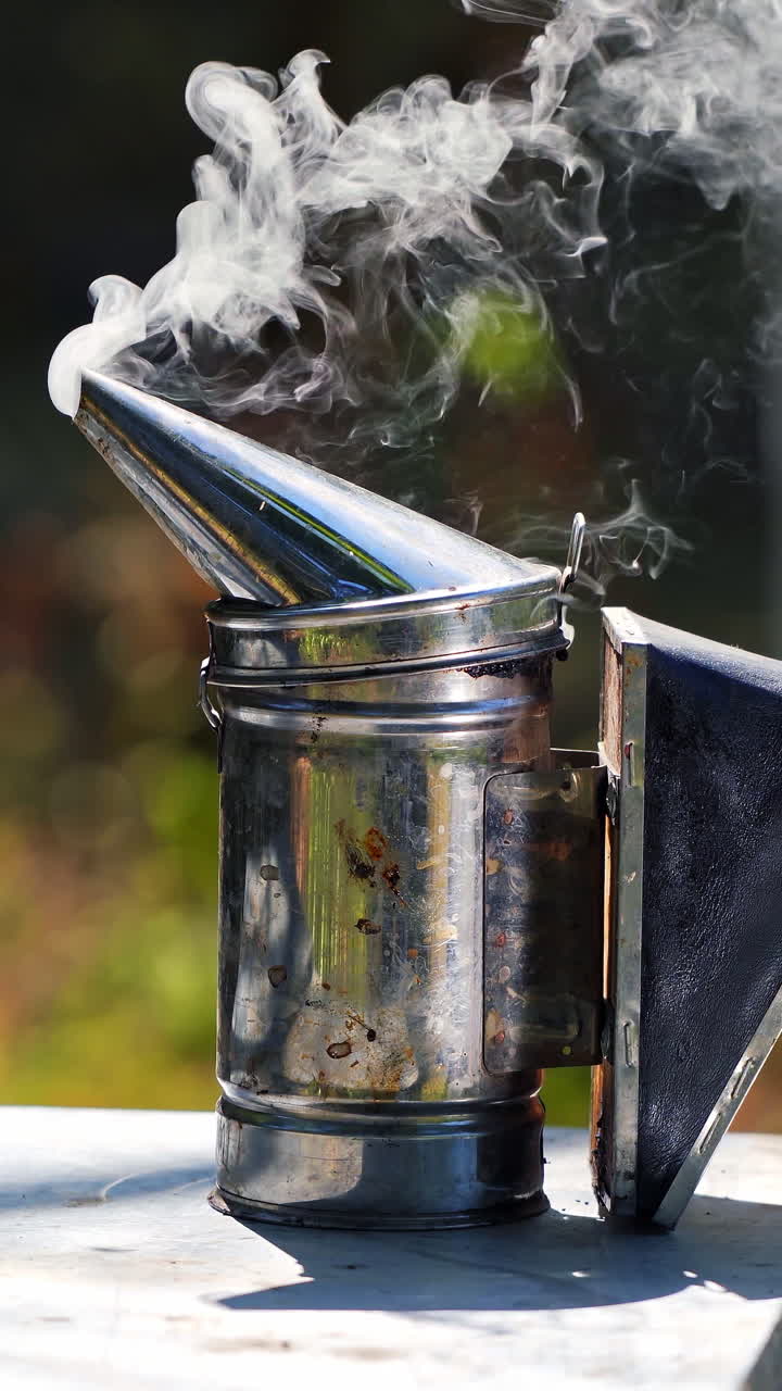 Metal bee smocker for beekeeping. Close up of chimney with smoke on apiary. Vertical video