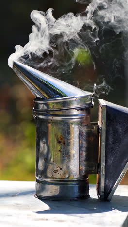 metal bee smocker for beekeeping. close up of chimney with smoke on apiary. vertical video