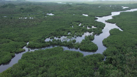 El-Majestuoso-Río-De-Siargao-Desde-Arriba:-Video-Delicia-Con-Drones-Aéreos