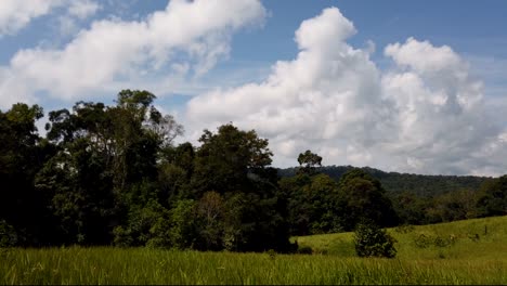 paisaje en el parque nacional de khao yai, árboles y montañas con grandes nubes esponjosas que proyectan sombras