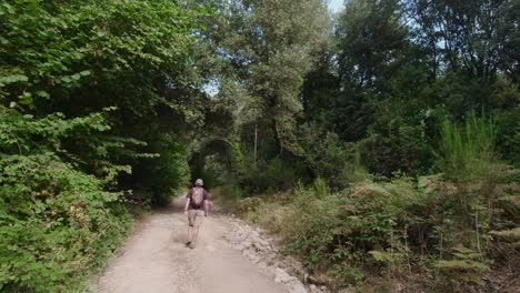 summers day hiking along thee trails near river riells, catalonia in spain