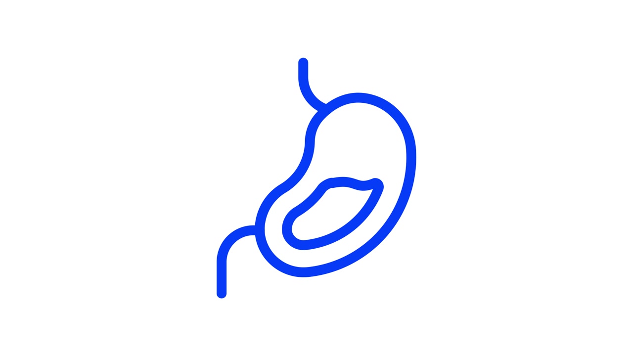 Animated Blue Line Icon of a Human Stomach with Pulsating Organ