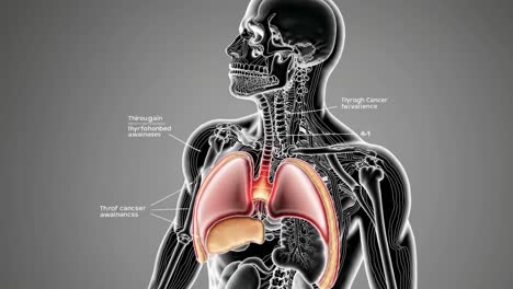 cáncer de garganta y tiroides anatomía