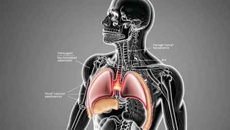 throat and thyroid cancer anatomy