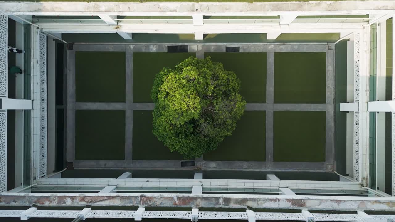 Top-down drone shot of a tree in the middle of Raja Haji Fisabilillah Mosque (Cyberjaya Mosque) with solar panels during the day in Cyberjaya, Sepang, Selangor, Malaysia