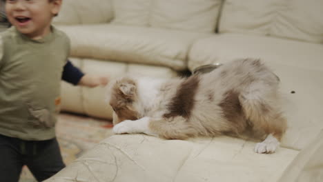 Funny-two-year-old-boy-feeding-a-puppy