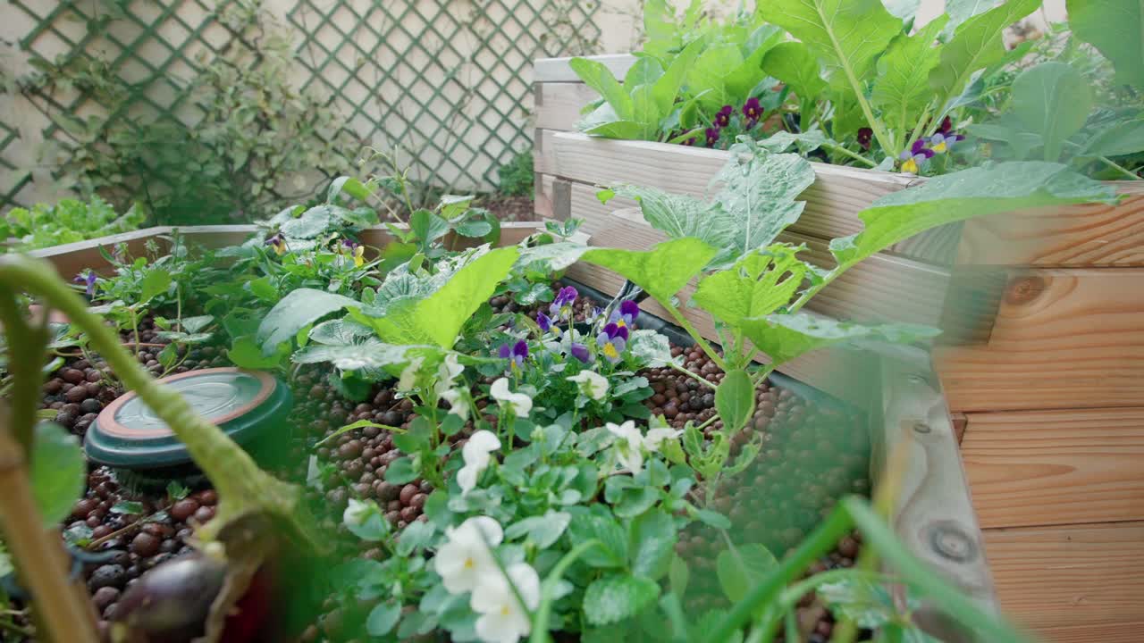 Natural aquaponics pond, top view with plants and clear water outlet, filmed with a problens lens.