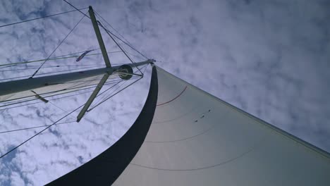 the big sail of a boat moving with the wind