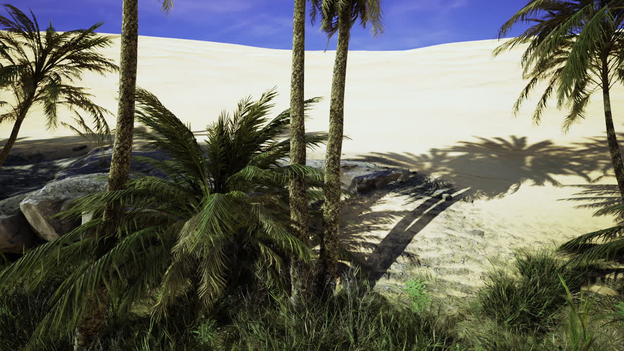 Desert oasis with palm trees and sandy dunes under a clear blue sky