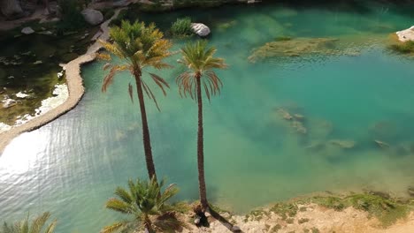 establecer una vista de drones que sube y revela un increíble oasis con agua turquesa y palmeras entre montañas y rocas en wadi bani khalid en omán