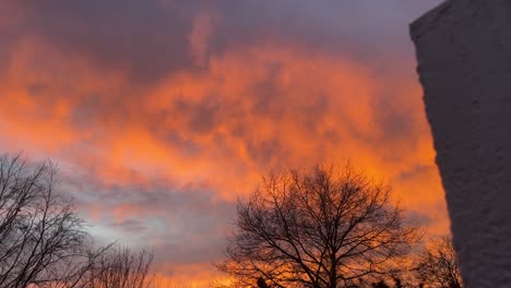 Brillante-Y-Emocionante-Cielo-Hermoso-Con-Nubes-Claras-Con-árboles-Y-Una-Pared-Blanca-En-Primer-Plano