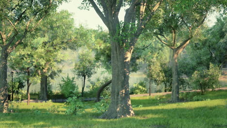 peaceful park with green grass and trees near a lake