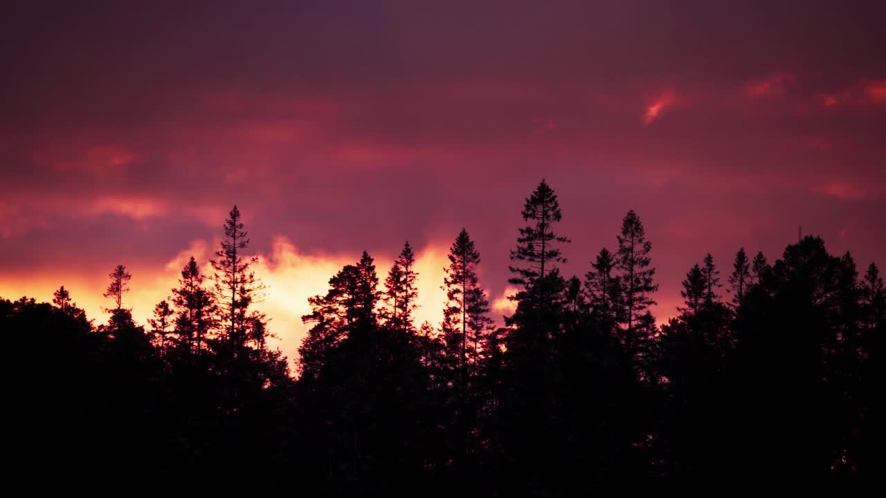 Cinematic View Of Red Sky With Passing Dark Clouds Over Tree Forest Silhouettes