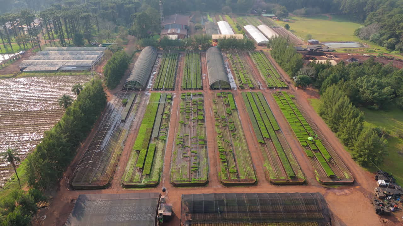 Aerial fly above greenhouse, plant farm location around lush subtropical landscape